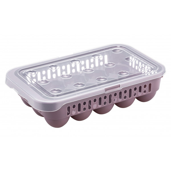 NEW EGG STORAGE CONTAINER FOR 15 PCS