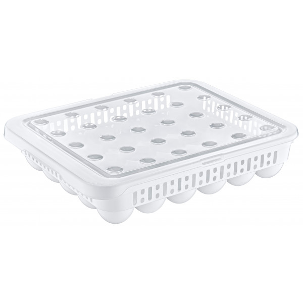 NEW EGG STORAGE CONTAINER FOR 30 PCS