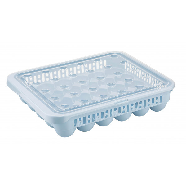 NEW EGG STORAGE CONTAINER FOR 30 PCS
