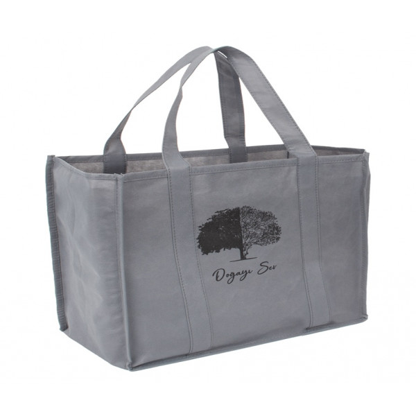 SHOPPING BAG NONWOVEN FABRIC 80 GSM 38 CM HEIGHT / 38 CM WIDTH / 20 CM GUSSET WITH FULL SIZE HANDLE / STYLE SEWED / PRINT ONE COLOR OFFSET