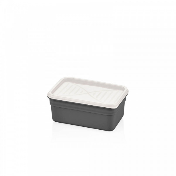 COLORED STORAGE CONTAINER 900 ML