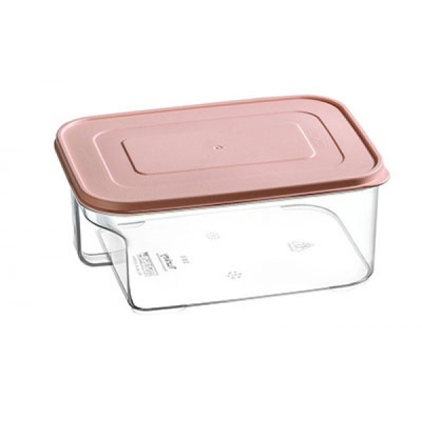  صندوق تخزين بلاستيكي شفاف عميق مع مقبض جانبي (2.60 ليتر)