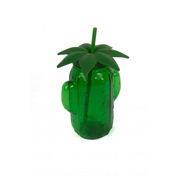 GREEN CACTUS PIPETTE Flask
